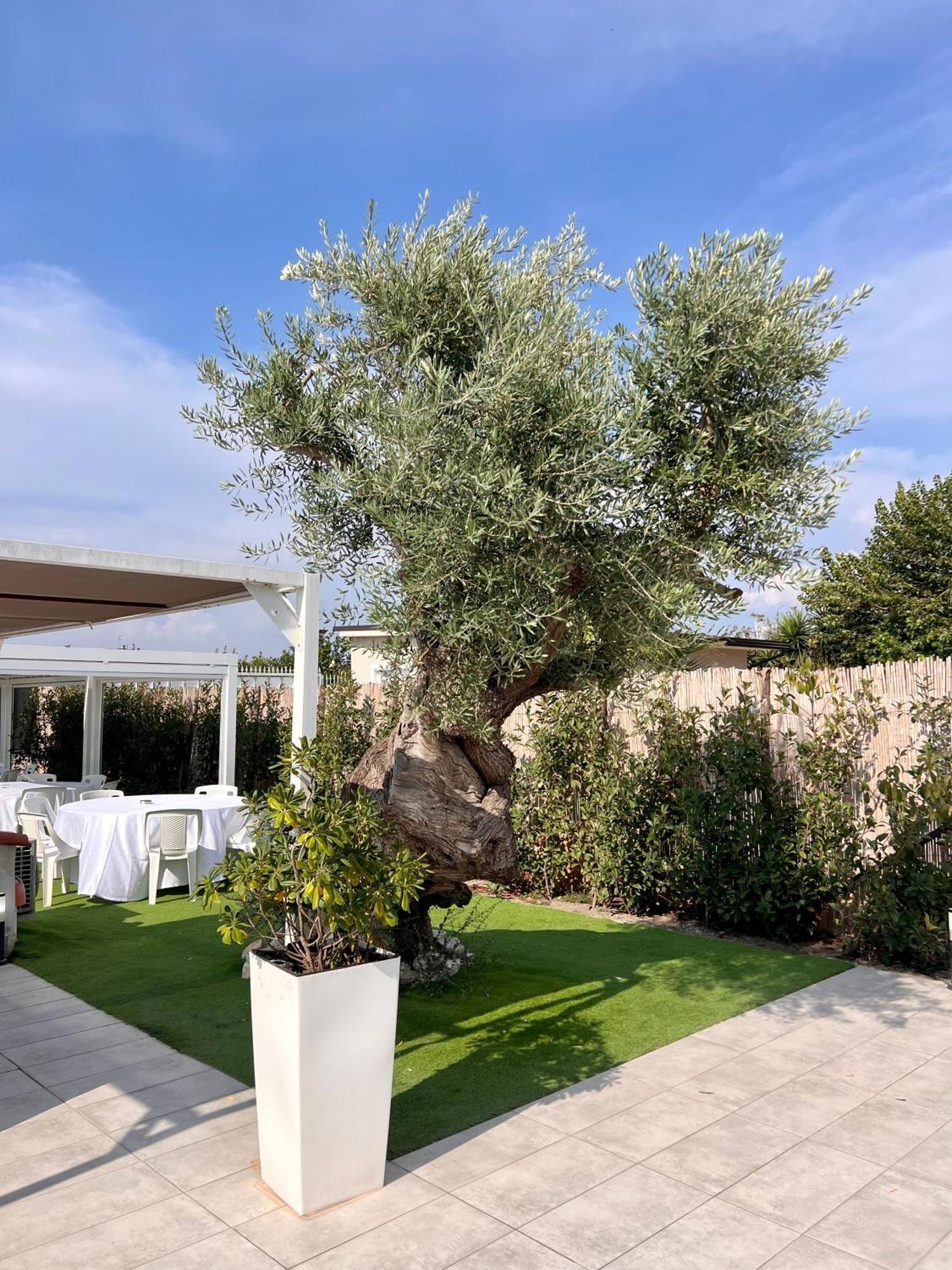 Villa Costantino Помпеї Екстер'єр фото